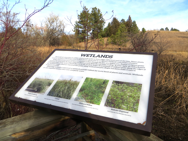 Arboretum Wetland Sign