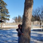 A child hugging a tree in a park during the winter.