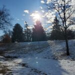 A park in the winter with snow on the ground and on the trees.