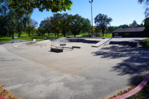 skate park surrounded by trees