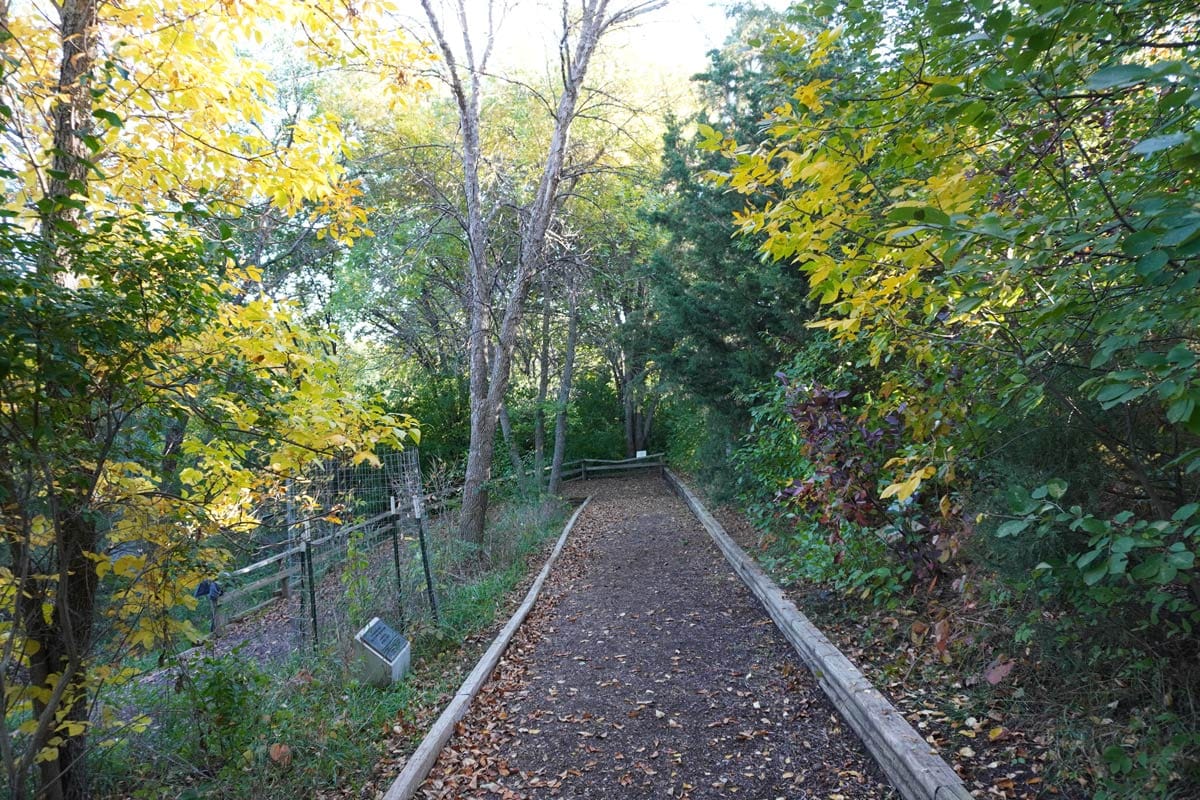 trail surrounded by colorful fall foliage at the Bismarck Rotary Arboretum