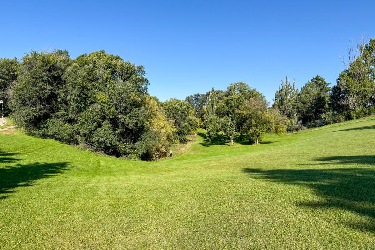 wide angle view of a green space in a park