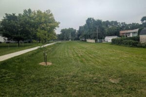 open green space at Marian Park