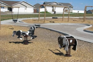 playground equipment with springs, swing set and tire swing in the background