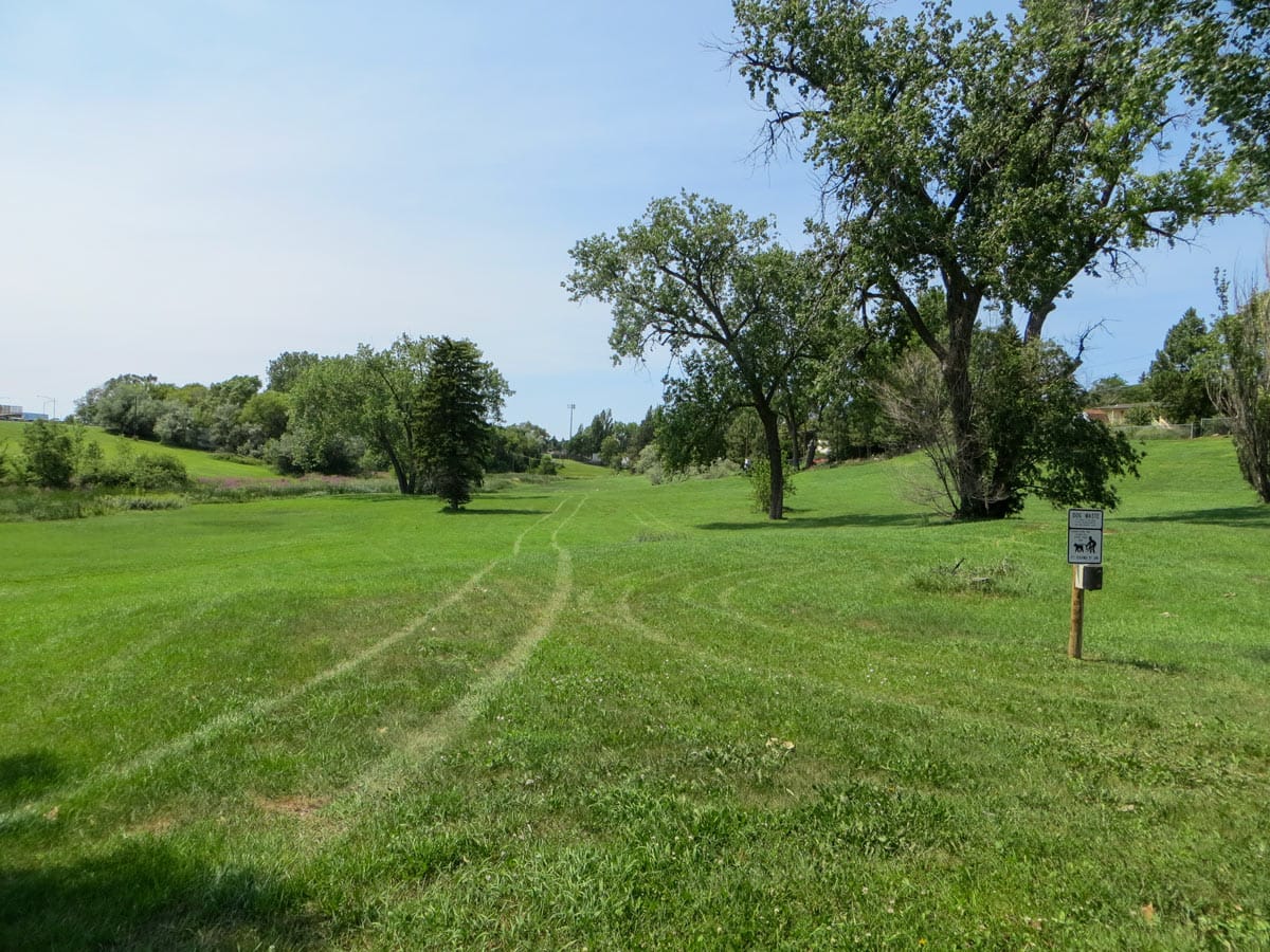 open green space at Rosa Young Park
