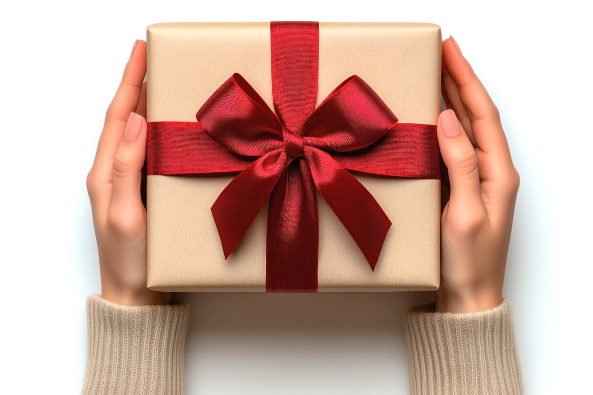 person's hands holding a present box with a red bow