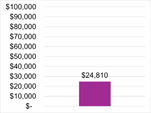Chart showing $24,810 in donations compared to a $100,000 goal