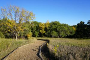 A trail at the arboretum surrounded by prairie and trees with leaves starting to turn colors.